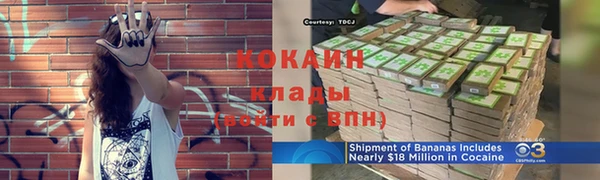дурь Богданович