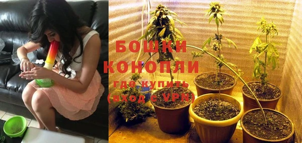 спиды Бородино