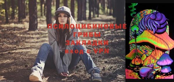 ALPHA-PVP Богородицк