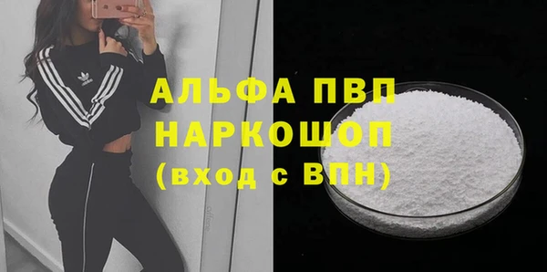 спиды Бородино