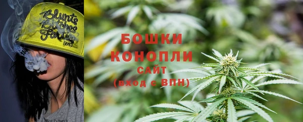 дурь Богданович