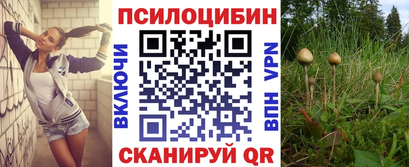 закладки  Вилючинск  Псилоцибиновые грибы Psilocybine cubensis 