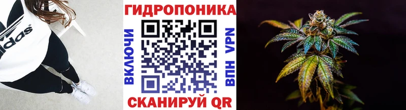 где продают наркотики  Вилючинск  Канабис марихуана 